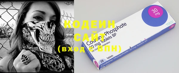 соль ск Богородск