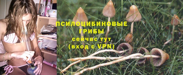 эйфоретик Богданович